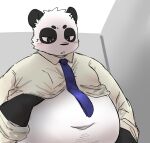 2023 anthro bear belly big_belly black_body black_nose clothed clothing clothing_lift giant_panda hi_res kemono male mammal navel overweight overweight_male shirt shirt_lift solo tobyou_222 topwear white_body