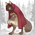 1:1 anthro bangs bared_teeth barefoot big_bad_wolf bow_ribbon canid canine canis claws cloak clothing dark_hair digitigrade dress evil_grin fairy_tales feet female fluffy fluffy_tail forest fusion grin hair hair_over_eye hi_res hood hunched_over large_paws little_red_riding_hood little_red_riding_hood_(copyright) looking_at_viewer mammal one_eye_obstructed paws plant selective_coloring simple_background smile smiling_at_viewer solo tail tateoftot teeth teeth_showing tree wavy_hair wolf