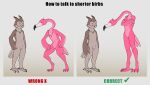 ambiguous_gender anthro avian avian_feet bird chest_tuft claws duo english_text feathers featureless_crotch flamingo hi_res how_to_talk_to_short_people leanivbirb meme nude owl simple_background size_difference tail tail_feathers text tuft