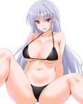  1girl bikini black_bikini breasts cleavage collarbone commentary_request engo_(aquawatery) grey_hair large_breasts long_hair lyrical_nanoha mahou_shoujo_lyrical_nanoha mahou_shoujo_lyrical_nanoha_a&#039;s navel red_eyes reinforce simple_background sitting solo swimsuit white_background 