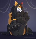 aliscik animated anthro barefoot bodily_fluids canid canine claws feet foot_fetish foot_focus hi_res jeanne_maku male male/male mammal musk paws simple_background smile soles solo sweat toes were werecanid werecanine werefox