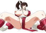  anus blush breasts brown_eyes brown_hair covered_nipples fatal_fury huge_breasts legs long_hair long_legs nipples oekaki partially_visible_vulva pelvic_curtain ponytail pubic_hair pussy_juice seji_(hornet) shiranui_mai simple_background solo spread_legs the_king_of_fighters thick_thighs thighs 