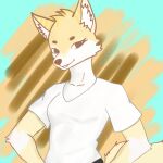 1:1 alex_artist anthro brown_eyes canid canine clothed clothing digital_media_(artwork) female fur hi_res looking_at_viewer mammal simple_background smile solo tail white_body white_fur yellow_body yellow_fur