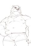 2024 absurd_res anthro bear belly bulge clothing heylaw21 hi_res humanoid_hands kemono male mammal moobs navel nipples simple_background slightly_chubby solo underwear