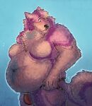 anthro belly big_belly blue_body blue_fur blush canid canine canis clothing digital_media_(artwork) domestic_dog ear_piercing facial_piercing fluffy fur hi_res husky industrial_piercing jockstrap male mammal nordic_sled_dog nose_piercing overweight overweight_anthro overweight_male piercing pink_body pink_fur purple_body purple_fur ripped_underwear septum_piercing simple_background solo spitz tailtufts underwear whiskers white_body white_fur