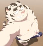2024 absurd_res anthro belly blush bulge clothing erection felid genitals hi_res kemono male mammal moobs navel nipples overweight overweight_male pantherine penis penta002 pink_nose solo tiger underwear white_body
