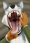 absurd_res anthro beastars bodily_fluids canid canine canis deer duo fangs hand_on_tongue hi_res imperatorcaesar legoshi_(beastars) louis_(beastars) male mammal mouth_play mouth_shot open_mouth saliva saliva_on_hand saliva_on_tongue scar solo_focus teeth tongue wolf