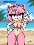 2024 accessory amy_rose anthro areola artist_name beach big_breasts black_nose breasts clothing cloud detailed_background eulipotyphlan eyelashes female genitals gesture gloves green_eyes hair hair_accessory hairband half-closed_eyes hand_gesture hand_on_hip handwear hedgehog innie_pussy looking_at_viewer mammal mostly_nude narrowed_eyes navel nipples outside palm_tree patreon pink_areola pink_hair pink_nipples plant pussy renaspyro sand sea sega short_hair sky smile solo sonic_the_hedgehog_(series) standing thick_thighs tree v_sign water