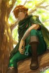  1boy boots brown_footwear brown_hair cape closed_mouth dated fate/extra fate_(series) fon-due_(fonfon) green_cape green_pants green_shirt hair_over_one_eye in_tree looking_to_the_side male_focus outdoors pants robin_hood_(fate) shirt short_hair signature solo tree 