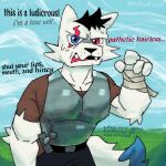 2024 anthro armor armored_vest bandage bandaged_arm black_hair blue_eyes blue_sky canid canine canis danny_smoke_in_furry_land day digital_media_(artwork) eye_scar facial_scar fangs grass hair insult male mammal marshall_the_wolf outside plant pops_icicle red_eyes scar sky solo teeth wolf
