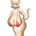 @vini_draws arc domestic_cat felid feline felis female female/female hi_res humanoid mammal solo