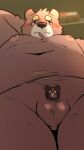 2024 9:16 anthro balls bear belly big_belly blush brown_body censored genitals hi_res kemono male mammal menmen_kesinn micropenis moobs navel nipples overweight overweight_male penis small_penis solo