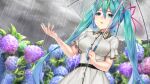  1girl aqua_hair belt black_belt blue_eyes blue_flower blue_hair breasts buttons commentary_request crying dangle_earrings dress earrings flower gakuon_(gakuto) grey_sky hair_between_eyes hair_ribbon hatsune_miku holding holding_umbrella hydrangea jewelry leaf long_hair looking_at_viewer medium_breasts outdoors parted_lips pink_ribbon plant purple_flower rain ribbon sad short_sleeves sidelocks sky solo standing tears transparent transparent_umbrella twintails umbrella very_long_hair vocaloid wet white_dress 