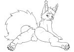 anus balls felid feline furry genitals hi_res katsurokurosaki looking_at_viewer lynx mammal presenting sitting sketch tongue tongue_out 