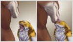 anthro bodily_fluids duo face_lick fur hi_res kello_(mamaubear) licking male mamaubear olgiorian pipzi_(mamaubear) red_eyes saliva saliva_string scalie sharp_teeth teeth tongue tongue_out white_body white_fur yellow_body yellow_fur