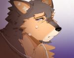  1boy animal_ears crying crying_with_eyes_open dog_boy dog_ears furry furry_male hashtag-only_commentary head_only highres jewelry live_a_hero looking_at_viewer male_focus necklace pubraseer_(live_a_hero) purple_eyes tears wang_yzzx 