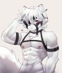  abs anthro areola athletic athletic_anthro athletic_male belt canid canine canis fur hair hi_res looking_at_viewer male mammal mihoyo pureolliebranch red_eyes solo tail von_lycaon white_body white_fur white_hair wolf zenless_zone_zero 