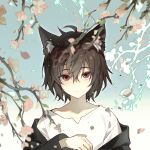  1boy animal_ear_fluff animal_ears black_jacket brown_hair cherry_blossoms chinese_commentary choker closed_mouth commentary_request fox_boy fox_ears hair_between_eyes highres hood hood_down hooded_jacket isoi_haruki jacket kemonomimi_mode long_sleeves looking_at_viewer male_focus open_clothes open_jacket portrait red_eyes saibou_shinkyoku shirt short_hair solo white_shirt xiaohuaitongxue 