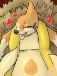  2_tails absurd_res anthro blush bodily_fluids fan_character floatzel generation_4_pokemon hanna_bell hay_bed heart_symbol hi_res lying male moobs multi_tail multicolored_body nintendo on_back pokemon pokemon_(species) saliva shaking signature tail tears tongue tongue_out two_tone_body 