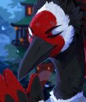  ambiguous_gender anthro avian blurred_background bust_portrait corzh77 eyes_closed feathers grey_body grey_feathers hi_res mouth_closed night outside portrait red_body red_feathers solo white_body white_feathers 