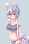  1girl ahoge animal_ears bra breasts cleavage collarbone commentary commentary_request eyebrows_visible_through_hair grey_background grey_panties highres inubashiri_momiji kouno_ibuki large_breasts looking_at_viewer midriff navel open_mouth panties red_eyes short_hair silver_hair simple_background solo sports_bra sweat tail touhou underwear underwear_only wolf_ears wolf_tail 