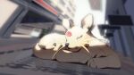  blurry cat closed_eyes commentary day depth_of_field fang fang_out forehead_jewel full_body lying matwvv no_humans outdoors persian_(pokemon) pokemon pokemon_(creature) sleeping solo 