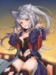  1girl animal_ears black_legwear breasts cleavage erune eyebrows_visible_through_hair fraux granblue_fantasy highres long_hair long_sleeves looking_at_viewer medium_breasts open_clothes open_mouth open_robe ponytail robe shiao silver_hair smile solo thighhighs thighs yellow_eyes 