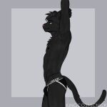 1:1 anthro black_body black_clothing black_eyes black_fur black_hair black_jockstrap black_tail black_underwear bulge clothing colored_line_art eddy_fox_crossfox felid fur grey_background hair hi_res jockstrap kingcosmicnick magic magic_user male mammal pantherine pink_nose simple_background slim solo stretching tail text transformation underwear white_line_art white_text