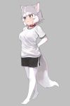 1girl animal_ear_fluff animal_ears arms_behind_back blue_eyes breasts brown_eyes collar dog_(mixed_breed)_(kemono_friends) dog_ears dog_tail elbow_gloves eyebrows_visible_through_hair full_body gloves grey_background grey_hair gym_shirt gym_shorts gym_uniform heterochromia kemono_friends large_breasts looking_away medium_breasts multicolored_hair no_shoes nyifu pantyhose parted_lips shirt short_hair short_sleeves shorts simple_background solo tail two-tone_hair white_gloves white_hair white_legwear 
