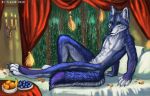  2019 4_toes 5_fingers animal_genitalia anthro bed blue_body blue_fur canid canine canis digital_media_(artwork) domestic_dog fingers flashw fur furniture green_eyes husky looking_at_viewer male mammal nordic_sled_dog on_bed sheath sitting smile solo spitz toes 