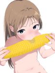  1girl absurdres blue_eyes blush bouen brown_hair collarbone corn eating fingernails food food_on_face hands_up highres holding holding_food long_hair looking_at_viewer navel nude original solo transparent_background upper_body very_long_hair 
