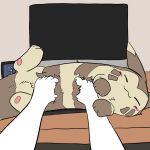 0bon 1:1 2024 3_fingers 3_toes =w= ambiguous_gender anon belly_rub blush brown_body brown_fur clock computer_keyboard daww digital_clock digital_media_(artwork) duo ears_back electronics enjoying eyes_closed facial_markings feet feral fingers first_person_view fluffy fur furret generation_2_pokemon hand_on_another&#039;s_belly head_markings hi_res human kemono keyboard lying lying_on_table mammal markings monitor multicolored_body multicolored_fur nintendo on_back pawpads paws petting pivoted_ears pokemon pokemon_(species) ring_(marking) shaded simple_background simple_shading tan_body tan_fur toes tuft