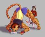 anthro ass_up bent_over calico_cat cheetah clothed clothed_female clothing container devious_grin domestic_cat duo felid feline felis female hi_res hunter_(hhdrawer) larger_female looking_at_butt male male/female mammal milk milk_container muscular muscular_female rubbing_hands_together size_difference wrestler