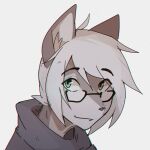 1:1 2018 absurd_res ambiguous_gender anthro bust_portrait closed_smile clothing digital_drawing_(artwork) digital_media_(artwork) domestic_cat eyewear felid feline felis fur glasses green_eyes grey_body grey_clothing grey_fur grey_hair grey_sweater grey_topwear hair hi_res inner_ear_fluff male_(lore) mammal mouth_closed notglacier portrait silvermist_(notglacier) simple_background smile solo sweater three-quarter_view topwear tuft wearing_glasses white_background