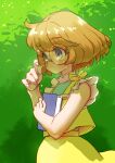 1girl adjusting_eyewear blue_eyes bob_cut book brown_hair closed_mouth cowboy_shot ei_(eikun) expressionless glasses green_background green_shirt highres holding holding_book ichinose_minori outdoors precure round_eyewear shirt short_hair skirt sleeveless sleeveless_shirt solo tareme tropical-rouge!_precure vest yellow_skirt yellow_vest 
