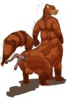 anal anal_vore anthro anthro_prey anus balls big_anus bovid bovine canid canine cattle crouching duo genitals head_first hi_res hooves jeri_kleinlowe larger_pred larger_taur looking_back male male/male mammal musclegut muscular nude nude_taur partially_inside perineum puffy_anus raccoon_dog raised_tail rear_view simple_background size_difference smile standing tail tanuki taur taur_pred vore white_background