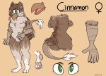 2018 3_toes 5_fingers anthro avian beak beastofeuthanasia bent_arm black_claws breasts brown_beak brown_body brown_eyebrows brown_fur brown_hair brown_tail butt character_name cheek_tuft chest_tuft cinnamon_(sp00ksies) claws closed_beak dated digital_media_(artwork) english_description eyebrows eyelashes facial_tuft featureless_breasts featureless_crotch feet female female_anthro finger_claws fingers flat_colors fur gender_symbol green_eyes green_pupils gryphon hair hi_res long_tail looking_at_viewer model_sheet multicolored_body multicolored_fur mythological_avian mythological_creature mythology neck_tuft open_beak open_mouth pawpads pink_pawpads pink_tongue pupils short_hair shoulder_blades signature simple_background small_breasts solo standing symbol tail tail_tuft talon_hands text three-quarter_view toe_claws toes tongue tuft white_tail_tuft yellow_background