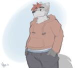 anthro bottomwear canid cheek_tuft clothed clothing clothing_lift eyebrow_through_hair eyebrows facial_tuft hair hands_in_both_pockets hoodie male mammal messy_linework overweight pointy_ears rory_(spyz) signature simple_background solo spyz_(artist) tail topwear translucent translucent_hair tuft visible_underwear