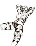 anthro black_and_white breasts felid female fur genitals hands_behind_head hi_res jeri_kleinlowe mammal monochrome navel nipples nude nude_female open_mouth pantherine pubes simple_background smile solo spread_legs spreading striped_body striped_fur stripes teeth tiger tongue vulva white_background