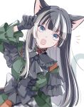  1girl animal_ear_fluff animal_ears black_bow black_choker black_gloves black_hair blue_eyes blunt_bangs bow cat_ears cat_girl cat_tail choker commentary_request dress dress_bow frilled_dress frills gem gloves green_dress highres hololive hololive_dev_is juufuutei_raden juufuutei_raden_(1st_costume) kemonomimi_mode lace lace_choker long_hair looking_at_viewer multicolored_hair open_mouth red_gemstone saito_shiorii simple_background solo straight_hair streaked_hair tail two-tone_hair virtual_youtuber white_background white_hair 