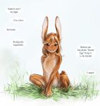 12-tf 2019 all_fours anthro barely_visible_vulva biped blush brown_body brown_eyes brown_fur brown_hair colored countershade_fur countershading crouching easter easter_egg egg egg_from_vagina english_text female female_anthro front_view fur grass hair handpaw holidays lagomorph leporid looking_at_viewer mammal nesting non_oviparous_oviposition nude nude_anthro nude_female oviposition paws plant rabbit scut_tail semi-anthro short_tail simple_background sitting sitting_on_ground smile solo speech_bubble spread_legs spreading tail text white_body white_countershading white_inner_ear wide_crotch
