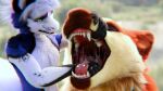 16:9 3d_(artwork) 4k absurd_res bodily_fluids canid canine canis deer digital_media_(artwork) dragon drooling dunes hi_res mammal maned_wolf maple_(disambiguation) mouth_shot mythological_creature mythological_scalie mythology open_mouth saliva scalie shinyumbra teeth tongue vore widescreen wolf