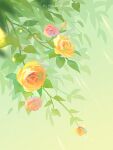  artist_name english_text flower huhv. leaf no_humans orange_flower original outdoors pink_flower pink_rose plant rose scenery still_life sunlight yellow_flower yellow_rose 
