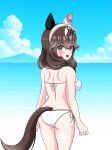  1girl absurdres animal_ears ass ball beachball braid breasts brown_eyes brown_hair cloud commentary_request curren_bouquetd&#039;or_(umamusume) highres horse_ears horse_girl horse_tail long_hair looking_at_viewer medium_breasts ocean open_mouth solo sweetbubble swimsuit tail umamusume 