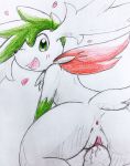  &lt;3 anus black_nose blush bodily_fluids butt colored_pencil_(artwork) eiroru female female_focus feral first_person_view flora_fauna fur genital_fluids gloves_(marking) green_eyes happy happy_sex hi_res legendary_pok&eacute;mon looking_at_viewer looking_back male male/female male_pov markings nintendo open_mouth penetration plant pok&eacute;mon pok&eacute;mon_(species) pussy pussy_juice rear_view sex shaymin shaymin_(sky_form) short_tail simple_background snout tongue traditional_media_(artwork) vaginal vaginal_penetration video_games white_background white_body white_fur 