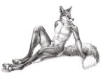  2017 animal_genitalia animal_penis anthro balls barefoot biped canid canine canine_penis claws detailed digitigrade dipstick_tail fluffy fluffy_tail fox full-length_portrait fur greyscale hi_res kenket looking_aside male mammal monochrome multicolored_tail nude pawpads paws penis penis_tip portrait sheath simple_background sitting sketch smile solo white_background 