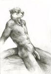  2015 anthro balls flaccid foreskin fur graphite_(artwork) humanoid_penis jewelry kenket lutrine male mammal mustelid necklace nude pencil_(artwork) penis solo tongue tongue_out traditional_media_(artwork) uncut 