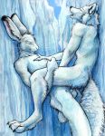  anal anal_penetration anthro anthro_on_anthro anthro_penetrated anthro_penetrating anthro_penetrating_anthro arctic arctic_fox balls biped black_claws black_nose canid canine claws digitigrade duo erection eyes_closed fox fur ice interspecies kenket lagomorph leporid male male/male male_penetrated male_penetrating male_penetrating_male mammal nude open_mouth penetration penis predator/prey rabbit sex side_view whiskers white_body white_fur 
