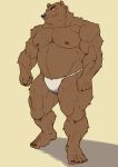  2017 5_fingers 5_toes anthro asian_clothing barazoku big_muscles black_nose body_hair brown_body brown_eyes brown_fur brown_nipples clothing east_asian_clothing eyebrows fingers fundoshi fur hairy japanese_clothing male mammal musclegut muscular muscular_male niku_18 nipples plantigrade scar simple_background solo standing thick_eyebrows toes underwear ursid 