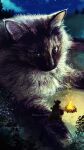 1other animal animal_focus black_cape black_cat campfire cape cat cloud commentary_request grass guitar hat_feather highres instrument kamimon2016 night night_sky original outdoors oversized_animal sitting sky tree 
